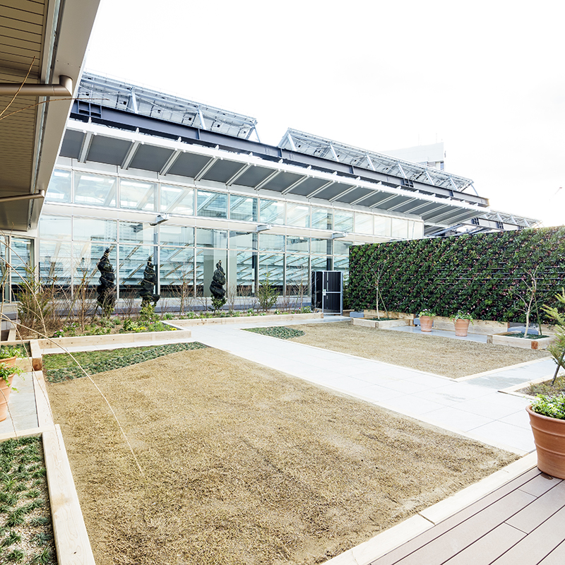 SKY GARDEN